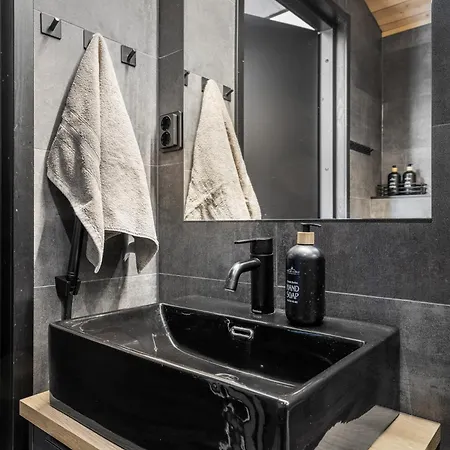 Ski-in & Out Skyline Penthouse Apartment